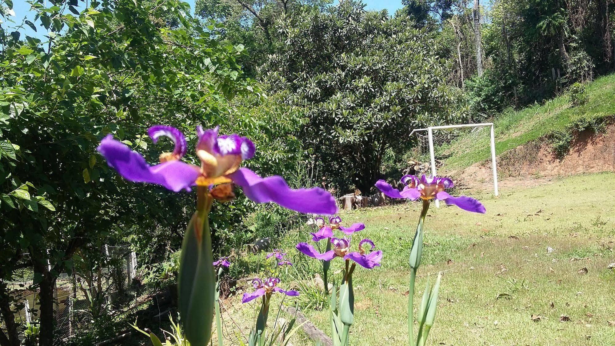 Pousada Na Regiao De Extrema A 1 Hora De Sp Luaran gambar
